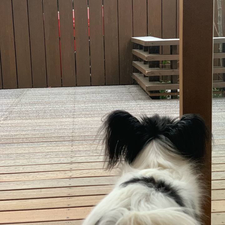 F3c57133 2f5c 48c9 a2e6 629b5b511a0e 1549666754888