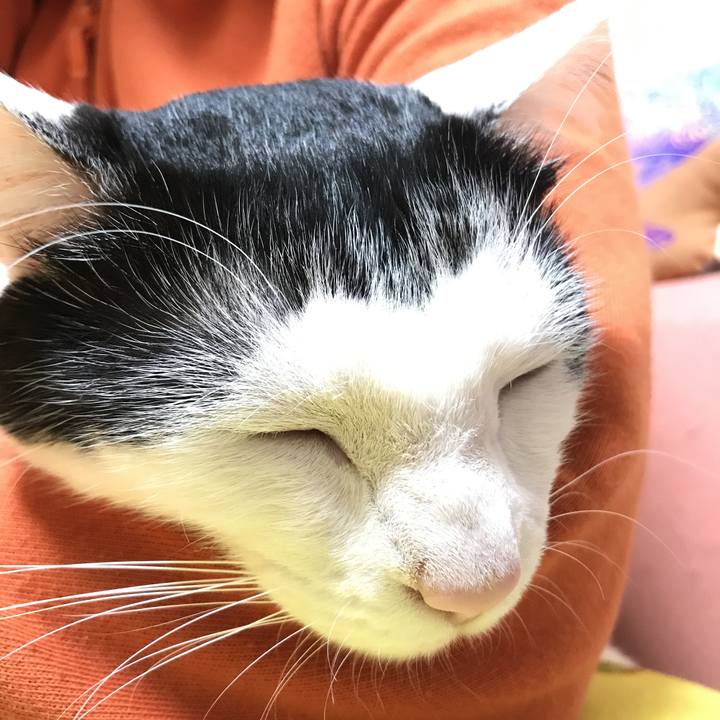 F3c5782a fa6c 4ecc 8335 9283dbf52f78 1520692337709