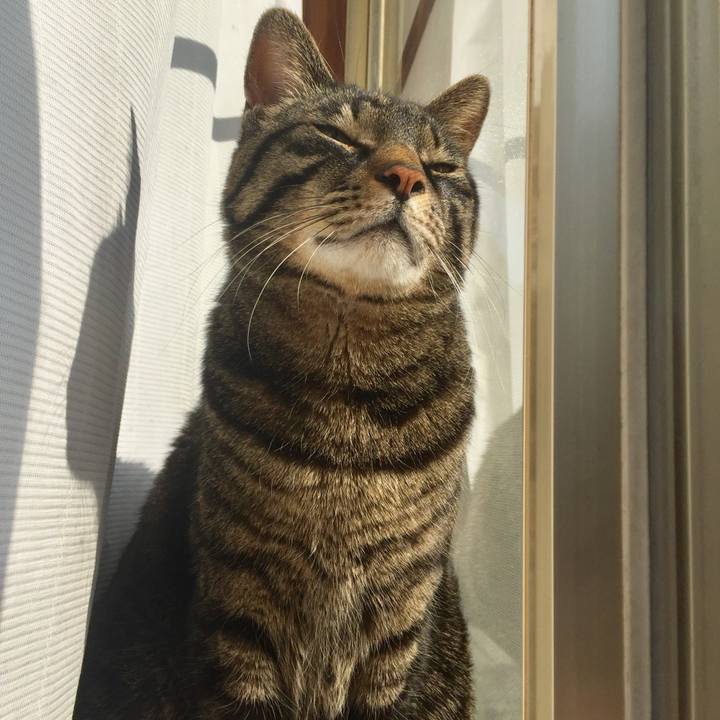 F3c5e695 f98f 4d96 b75f 73498a607d8a 1520210140100