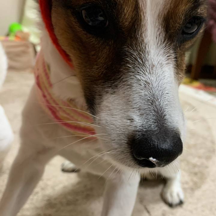 F3c5ff19 8f54 4299 b67f 8a3a4b1d146e 1608804233031