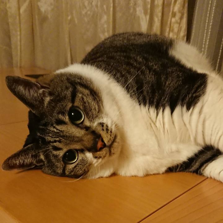 F3c67f86 1bee 4818 81b4 d0d5f5c973ae 1563748918226