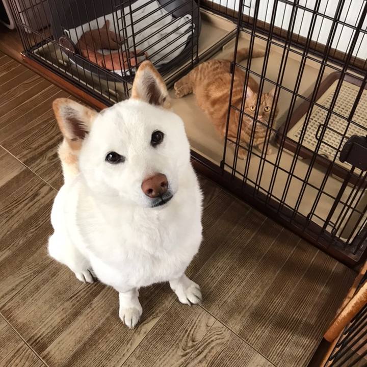 F3c6c3db 8442 4975 b82f c7742d7467eb 1558395795237