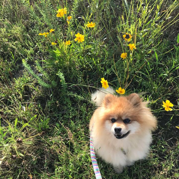 F3c6e6a0 bd2d 42bd a60d 99a7e66171c6 1531177500413