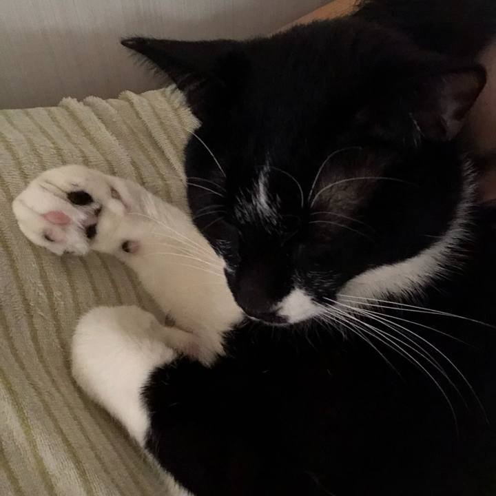 F3c6eaca 92da 4c8f a0cc f0a151256372 1550684327289