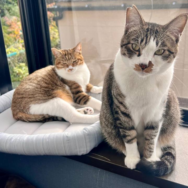 F3c738c8 52fa 40c0 9b16 e36ad7eeb1cf 1762870621416