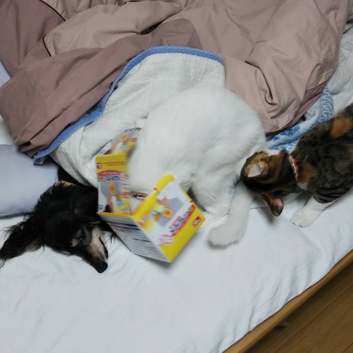 F3c76a55 3601 4d61 a10b a16c8b631634 1637372367771