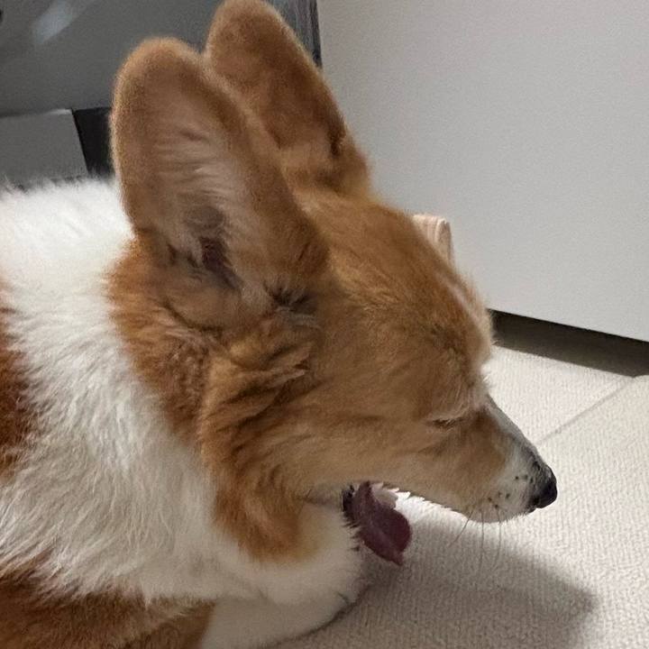 F3c77652 7084 4698 b6ac c5d81045ec8a 1748344774624