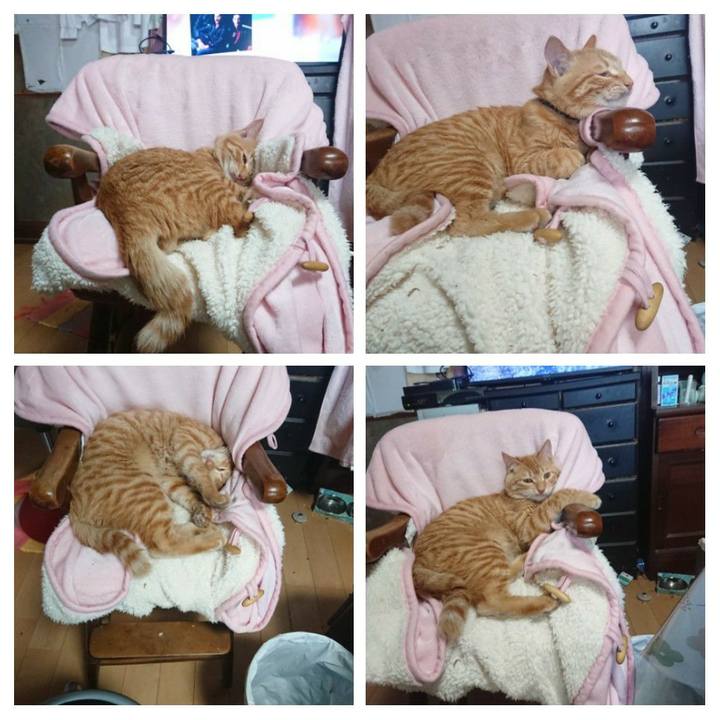 F3c8028e 4807 4ef3 9cc7 efb9fc59a071 1638179869872