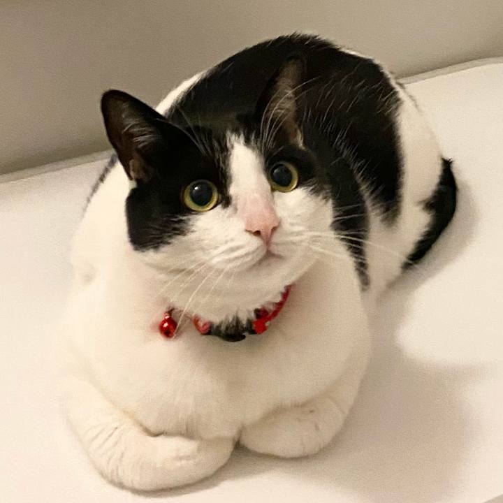 F3c81600 7e17 414e 9427 cdeecb304ce3 1641433379126