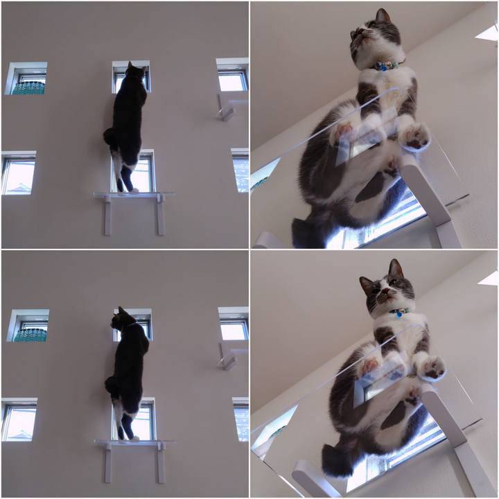 F3c81936 a85c 4e38 b35a 97b59e4bff18 1672722776564