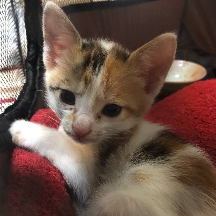 F3c82d26 c4d9 4612 a073 df8967717716 1560431795989