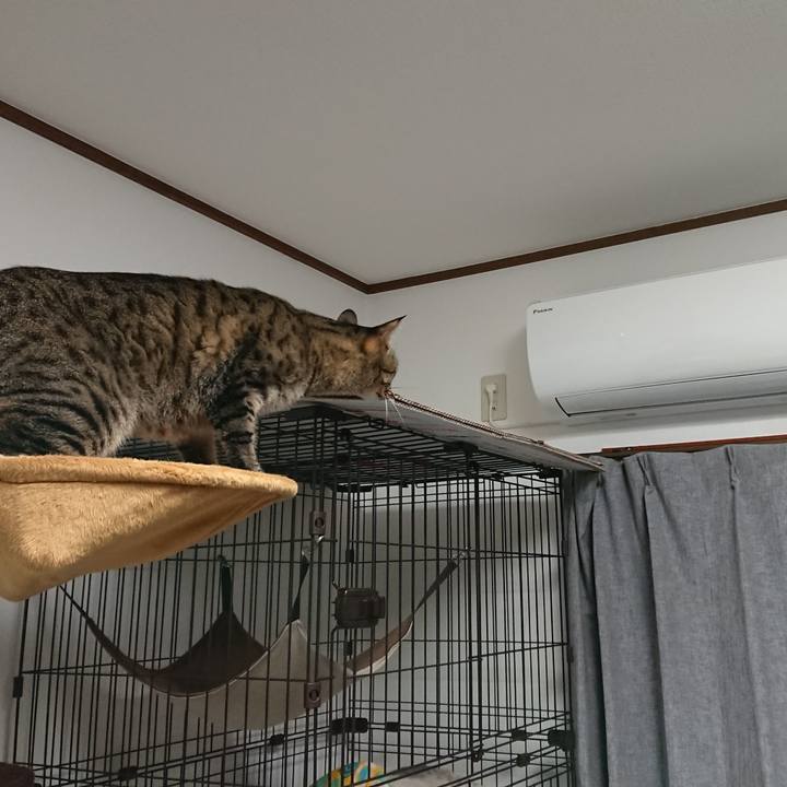 F3c82e95 40c6 4778 8b96 6d9d404aa155 1515916722067