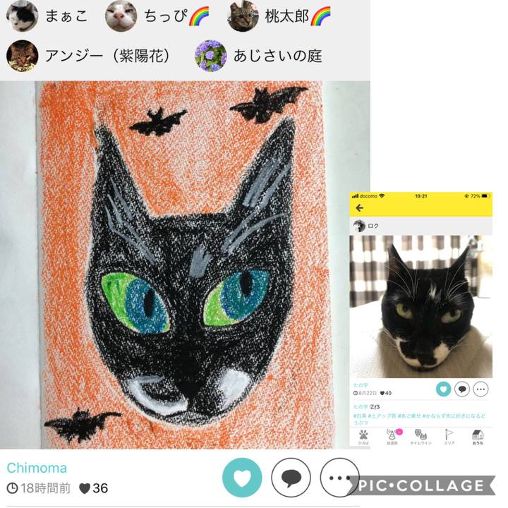 F3c86093 9861 4f52 84f9 de90e4def6aa 1604197662542