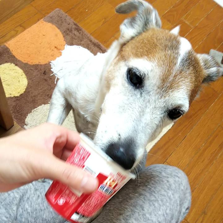 F3c860a9 1677 45a1 a2f4 f67b51b85f71 1549929599397