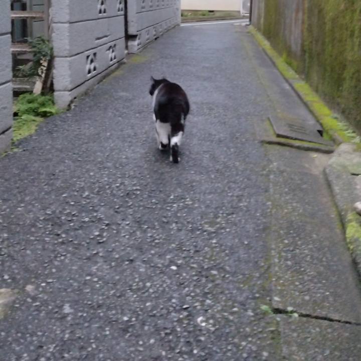 F3c87c67 8077 4e6d acf1 b3fdead21bce 1700991084762