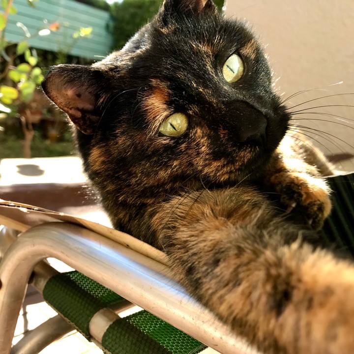 F3c895f0 fffe 4b2e b942 4749009f1df0 1513128986760