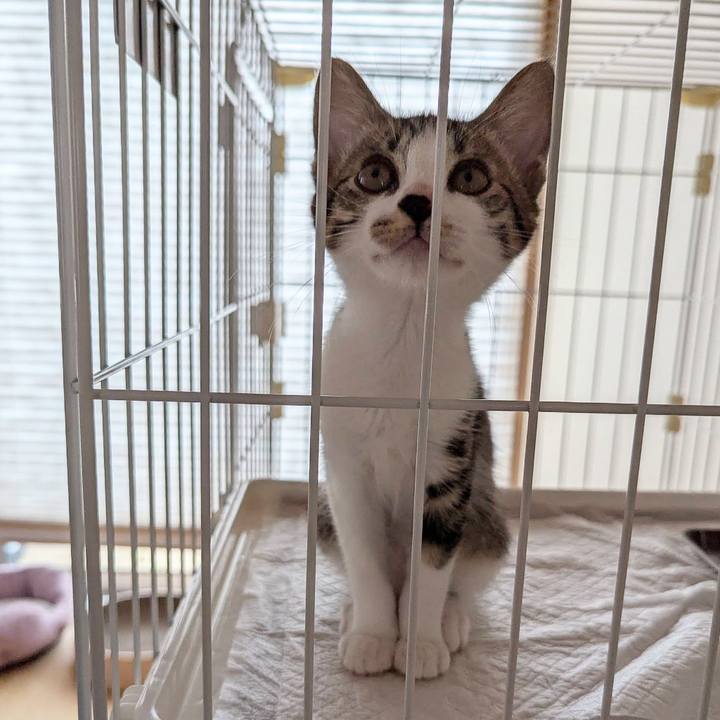 F3c8c47a f666 4d82 a179 e98ee7653bb2 1721297019965