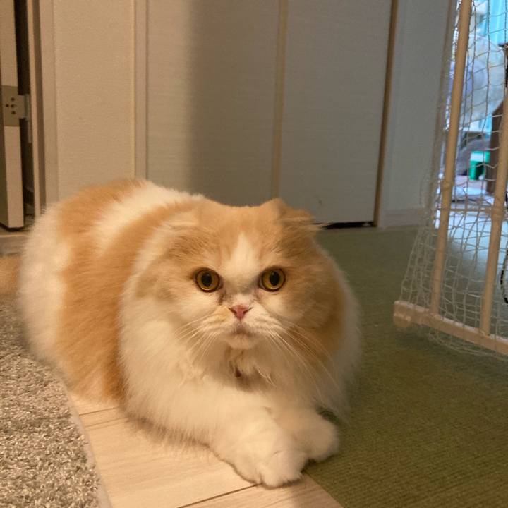 F3c8d410 f5fc 4a43 9fed 7a9a3ec897b5 1689566167108