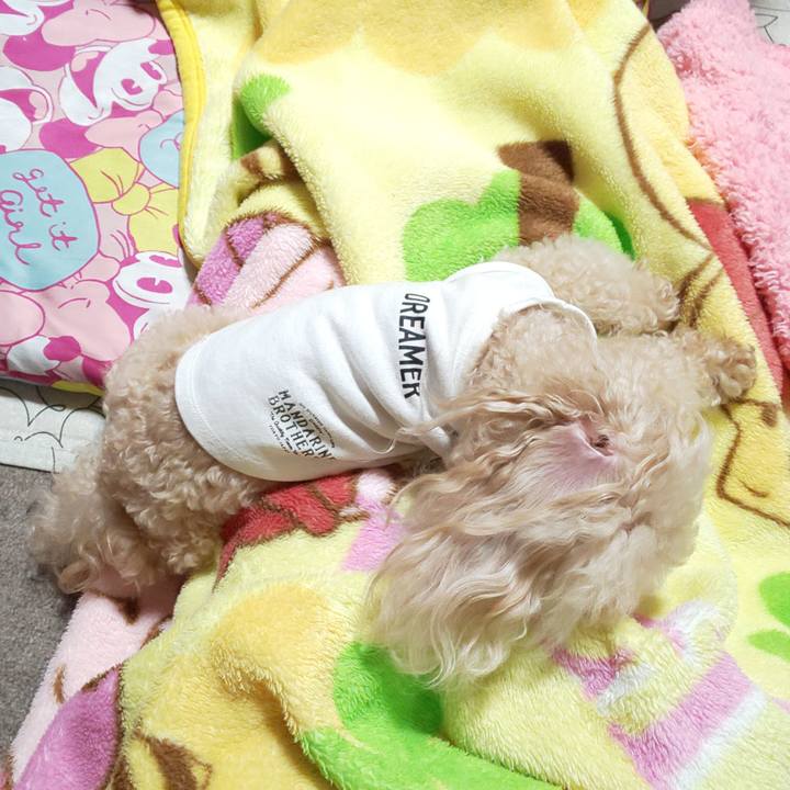 F3c8f575 7dab 47f3 b22c 1571a489a230 1572424005870