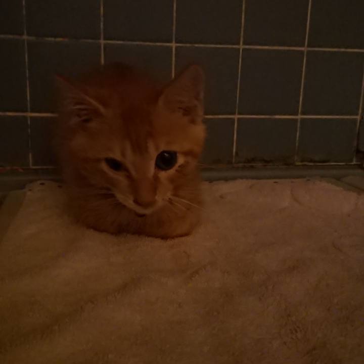 F3c9080e d2db 4d0d bf2d 904822a96ddd 1630321775947