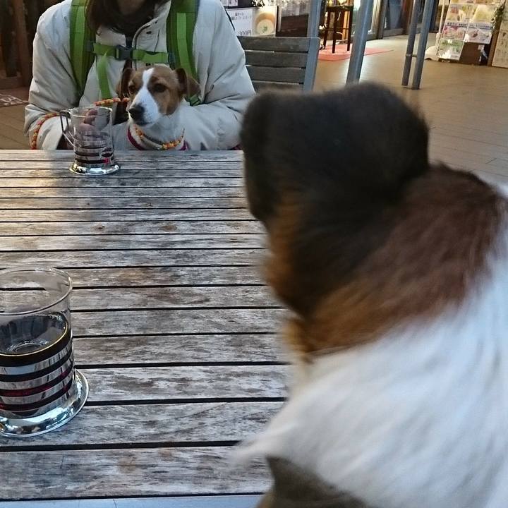 F3c90ef2 f39c 45a9 b7be 603327811d95 1517040849688