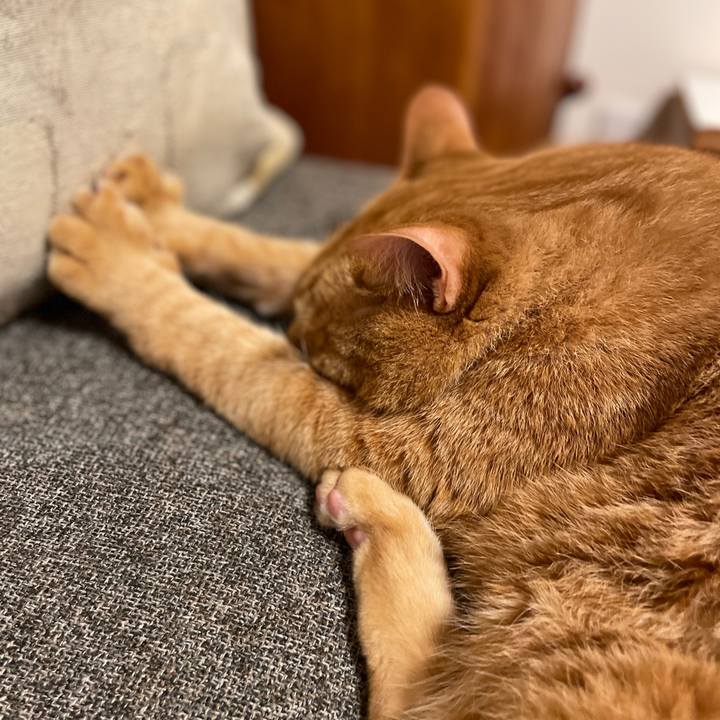 F3c91161 86e0 4f0c bbdf e841bcb5855a 1715157216623