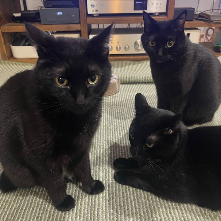 F3c93593 e6dd 4de1 918b b367c02d6d61 1735044834821