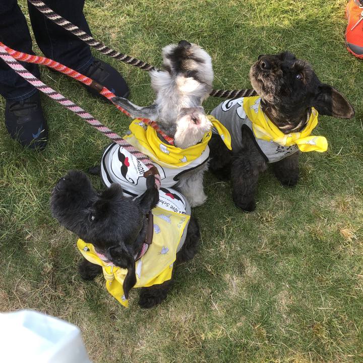 F3c93f99 66a6 4ec4 b7e3 5f162ce14c61 1557643395681