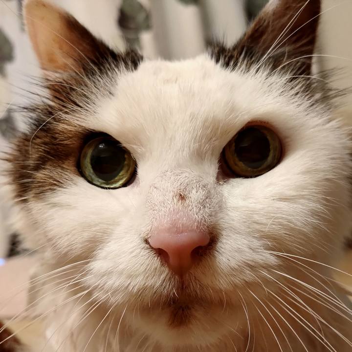 F3c951c5 317b 4d2b be12 455115e1e2f7 1580600556651