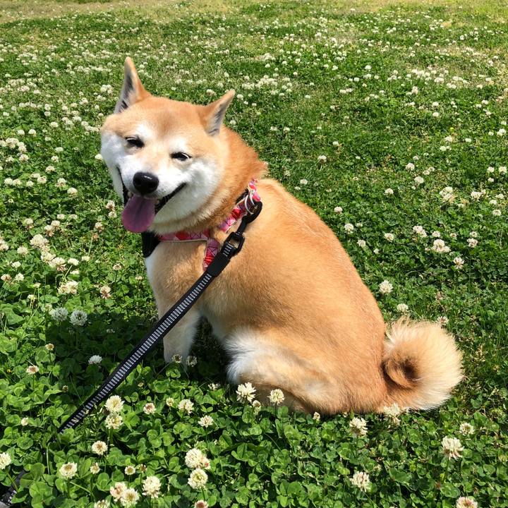 F3c99b85 d4f5 4959 babb 27e02c7e7959 1557292289474