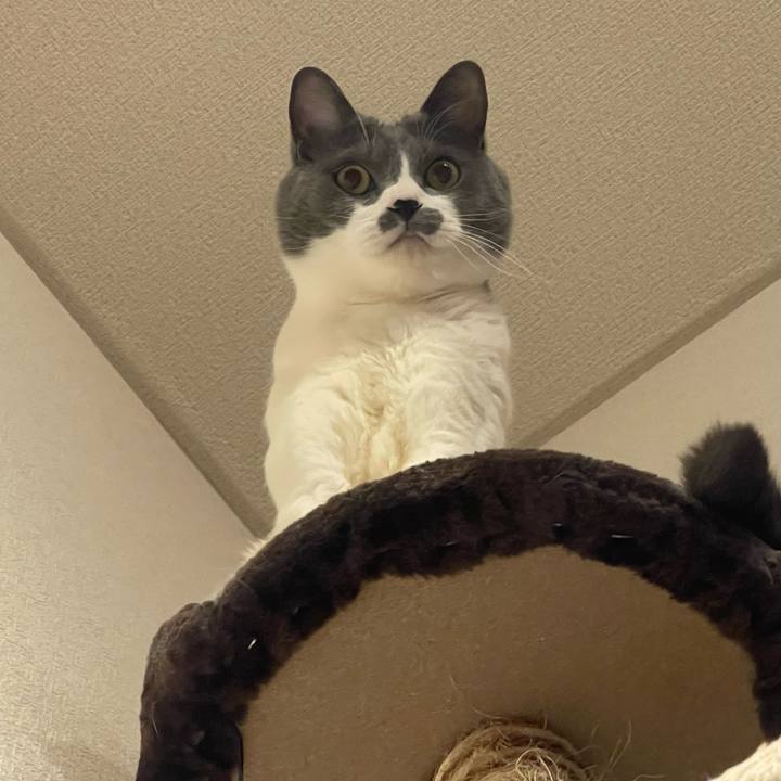 F3c9ae8d 3aae 4514 8439 6ebe417e6ae8 1715264852634