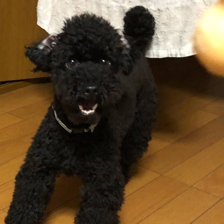 F3c9b907 576e 4ca6 ae1c 67629467b87d 1530829591547