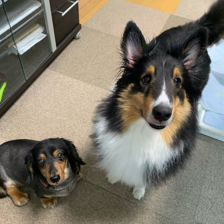 F3c9f358 9062 4fa7 963c 1ab27d262da4 1593553080931