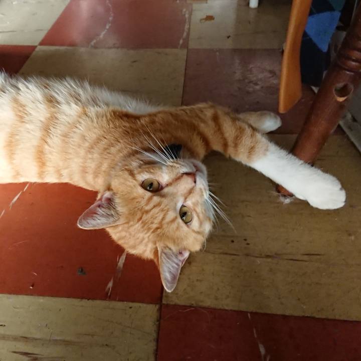 F3ca25b0 1bc7 44bf 9ebd 35966b9c829c 1565386079487