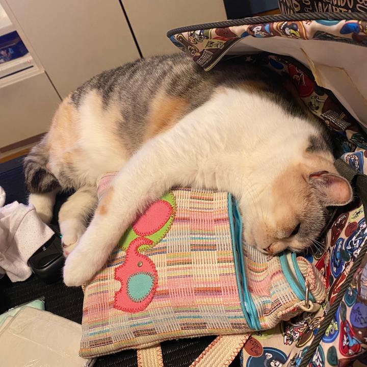 F3caa343 094b 4f47 bcc8 e6766a823dfd 1582630333659