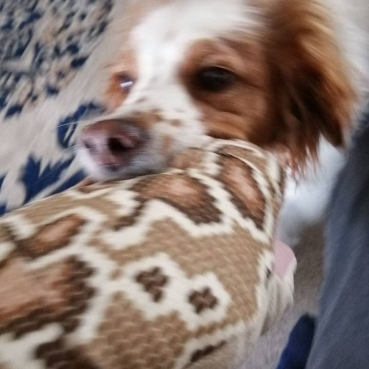 F3caea17 e43e 4a19 aa2f 24c28bc95218 1586495045100