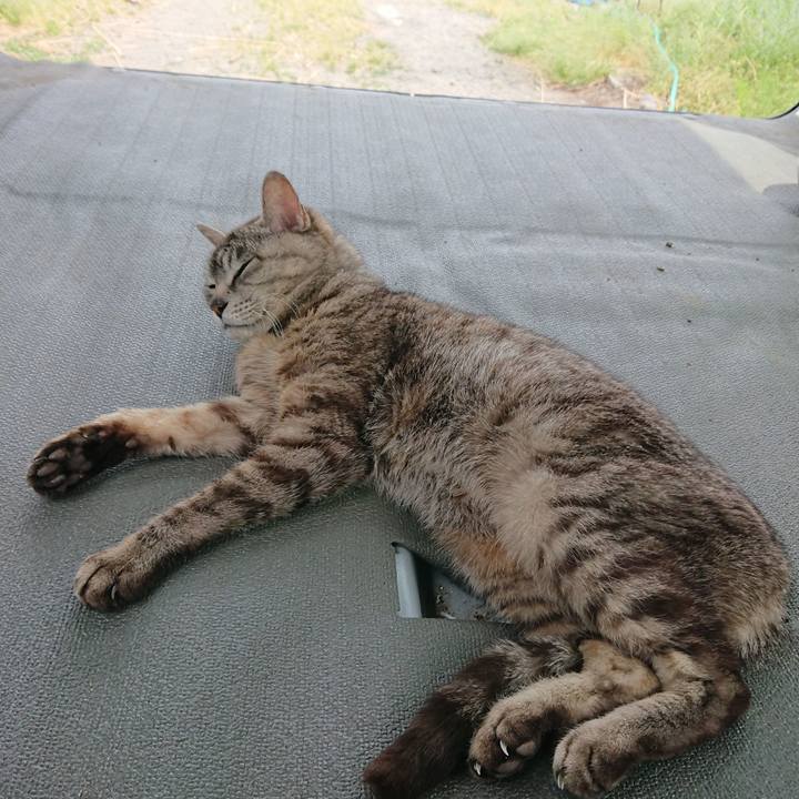 F3caf3f3 f8b2 4a44 a07b 409f8353af98 1559448258723