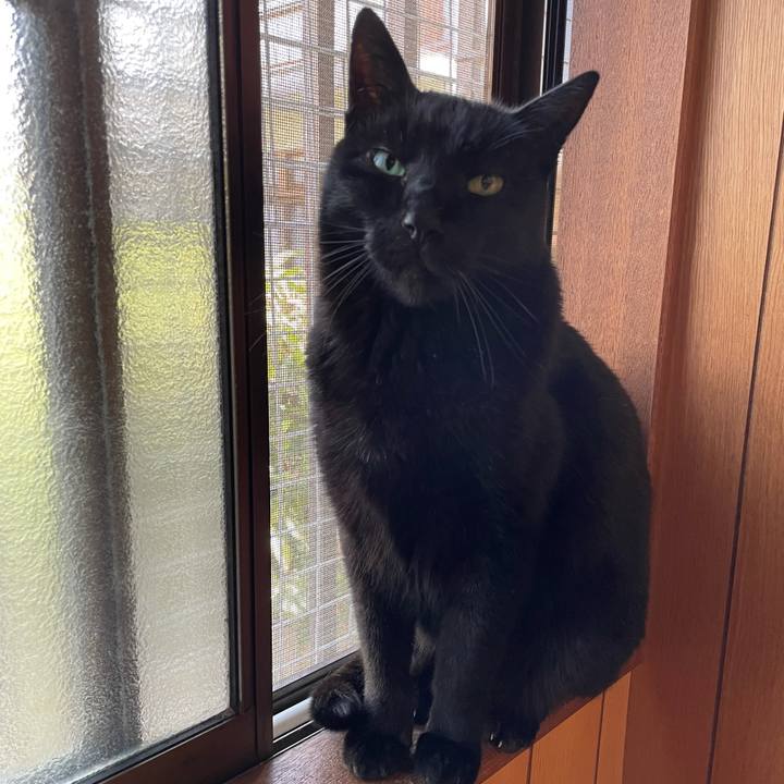 F3cb1086 8354 4066 9f07 3db23f80b5b9 1616808105429