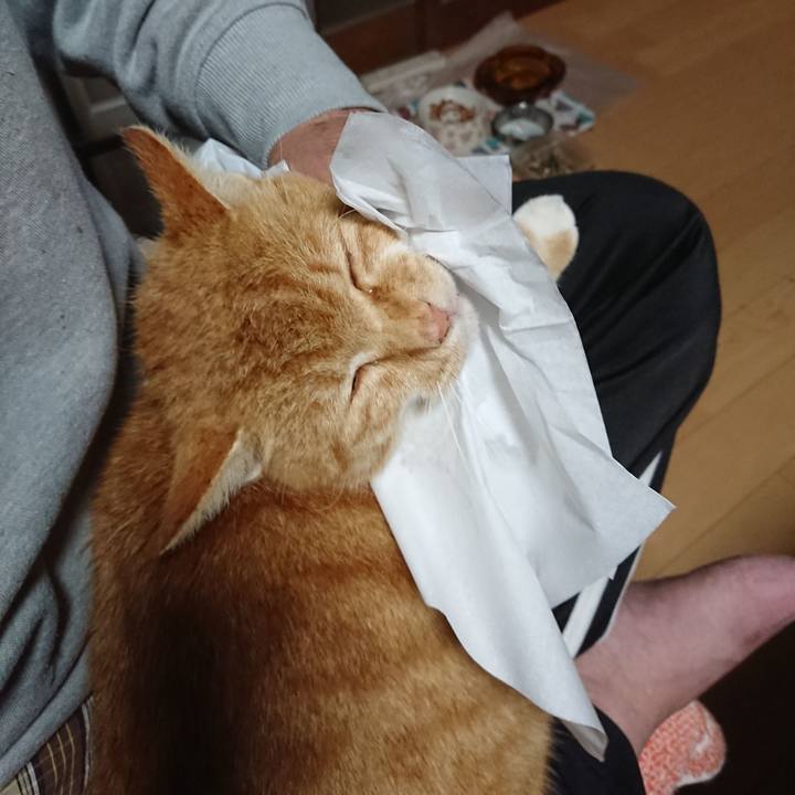 F3cb1346 abcf 441d ac0e dacfeb01fab1 1604914765007