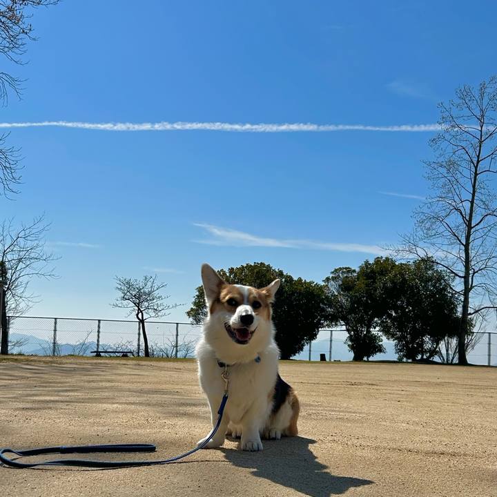 F3cb261a ece1 49c4 8510 8c284a7c114e 1774326687543