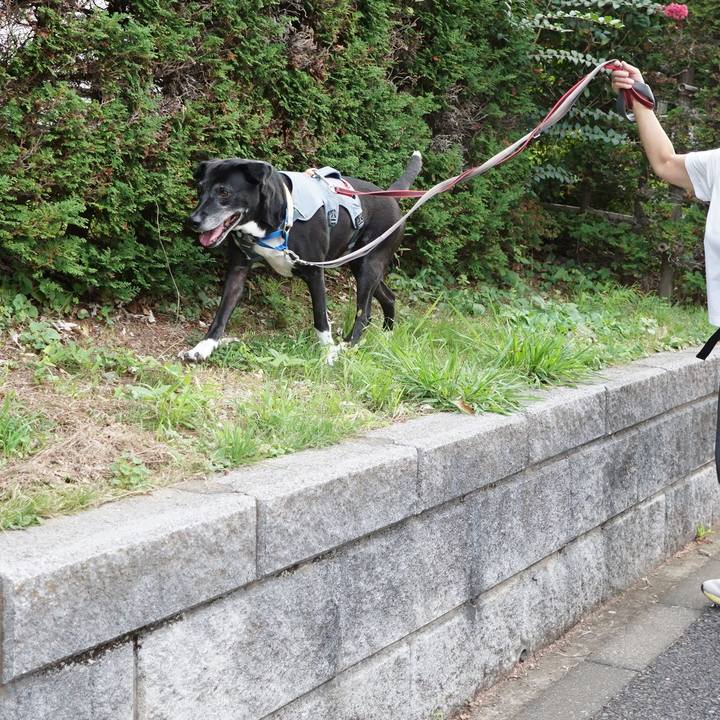 F3cb2b5c 20a9 49e7 9078 2ca67e7ca80c 1759711536553