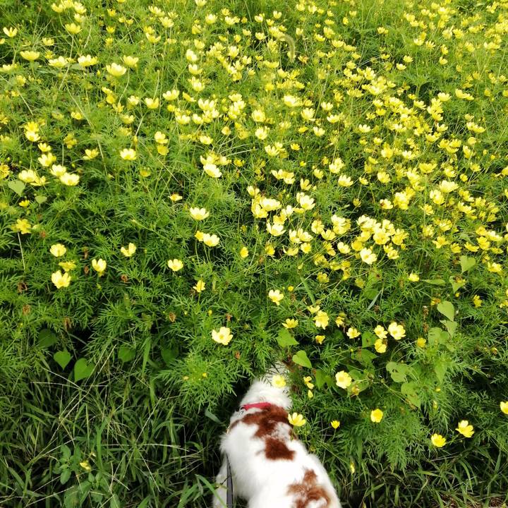 F3cb5f01 c5a2 4f49 b4f7 016f6afca2cc 1568374570608