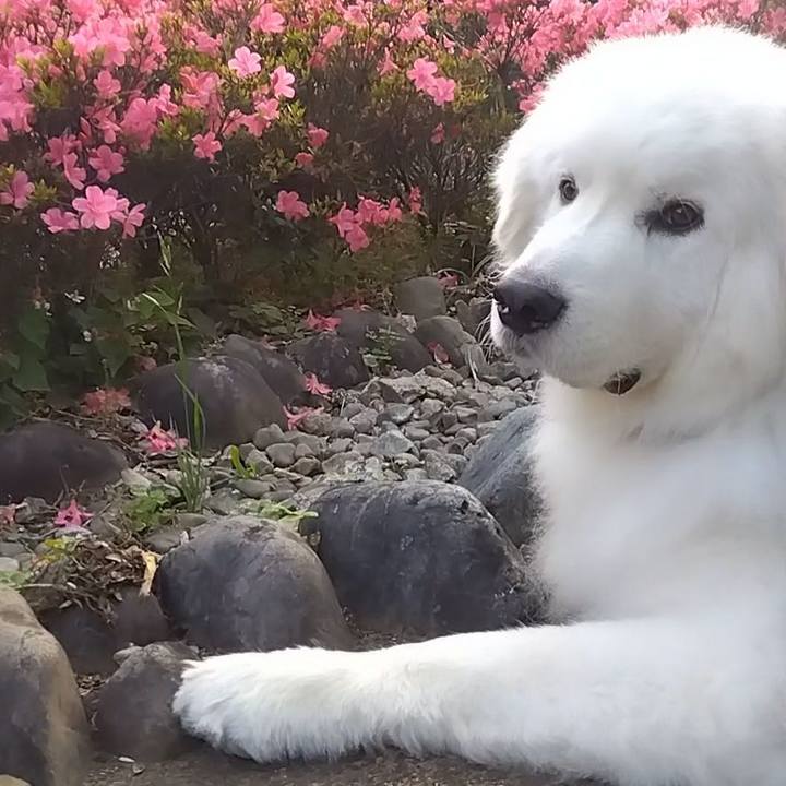 F3cb6ac0 cbf3 4fd3 9fdd fb45818938ea 1685666944206