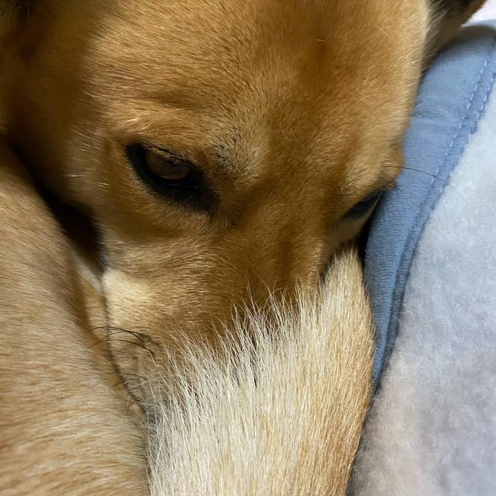 F3cbc54e bb37 444a 8317 e31407fc4ad3 1610198903065