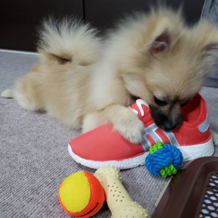 F3cbd5e1 4e30 49c8 a629 9bd21062cb38 1619876370386