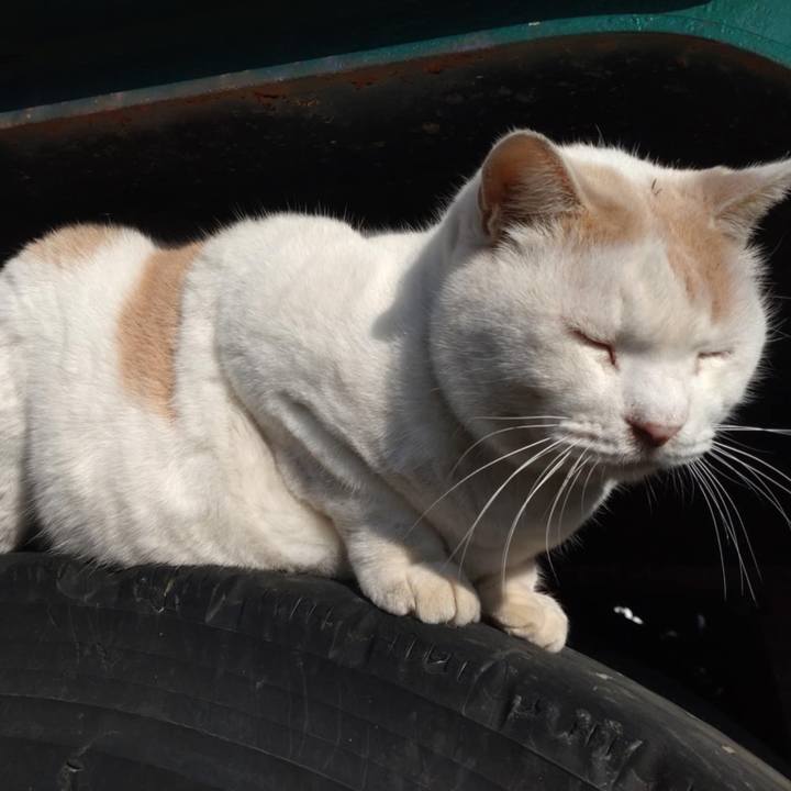 F3cbe03b 4ffd 4560 8684 520735ba4e8f 1732591128193