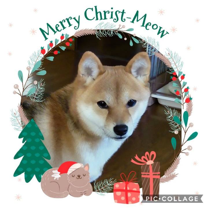 F3cc0cac 5656 4902 b4d8 252602ee55df 1640300655488