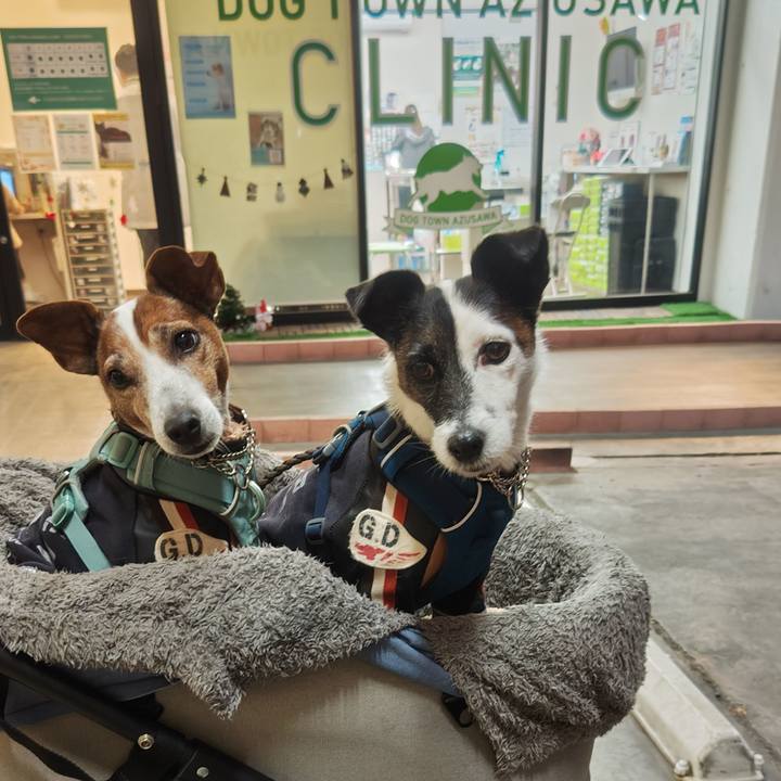 F3cc1125 8f91 4595 989d 05d046326f4c 1763798901624