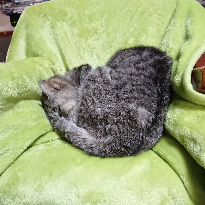 F3cc15e7 20ee 4c97 bde4 950780c3737a 1587420084563