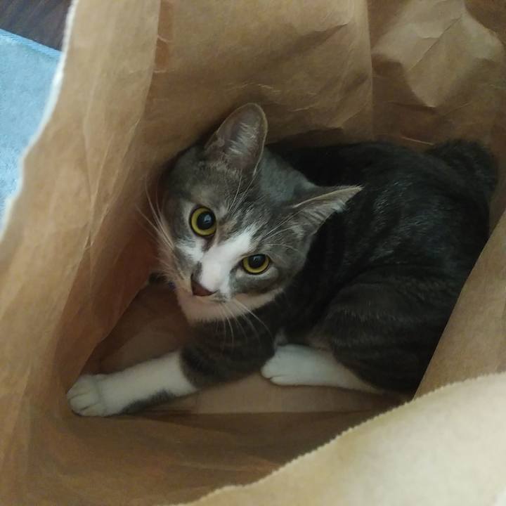 F3cc6670 357d 4de4 96a9 25a0779213e4 1588460363213